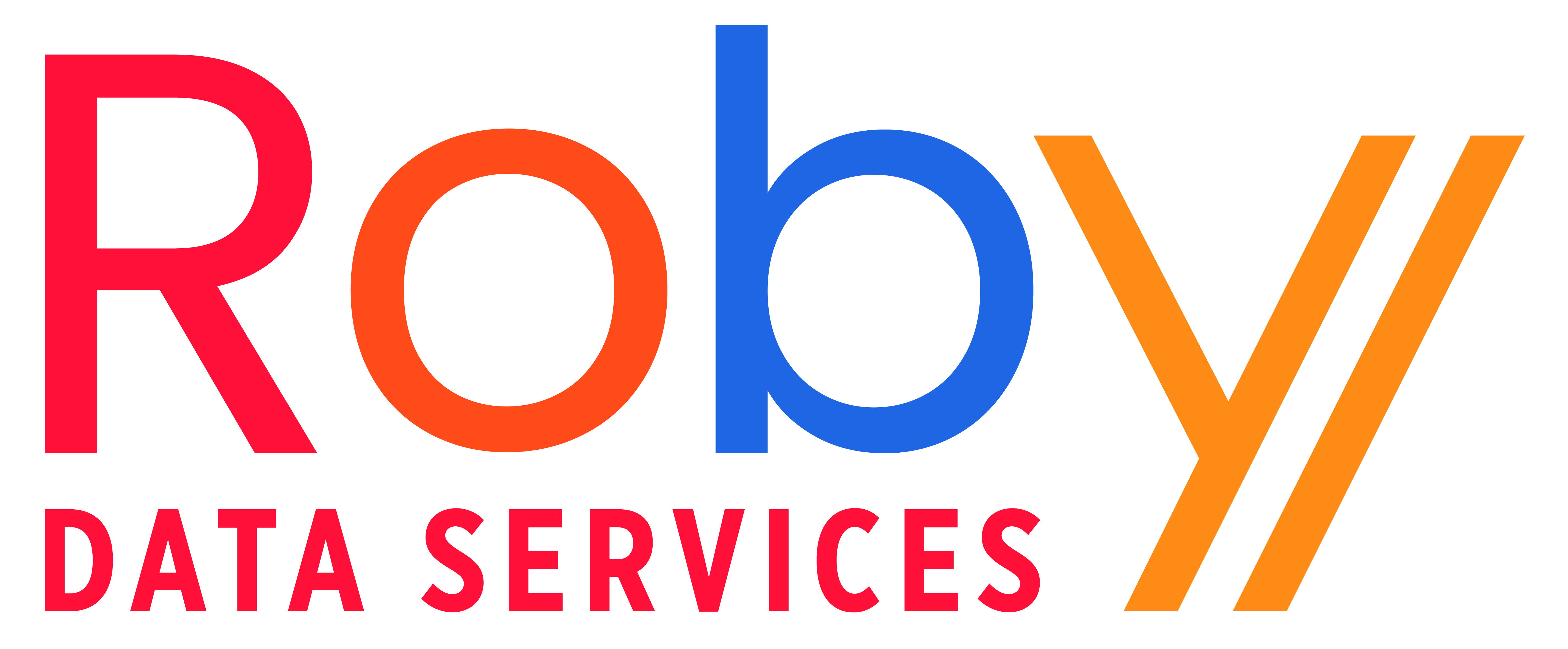 Roby Data Services Logo