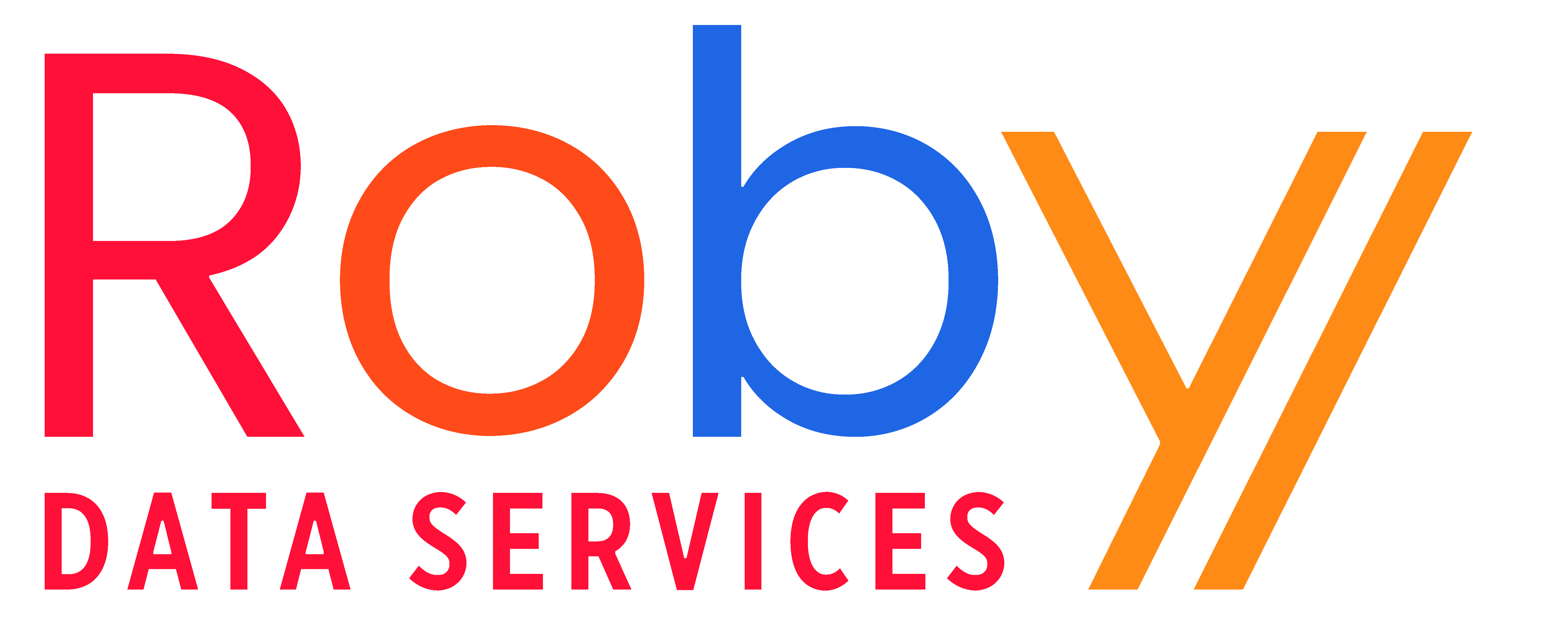 Roby Data Services Logo